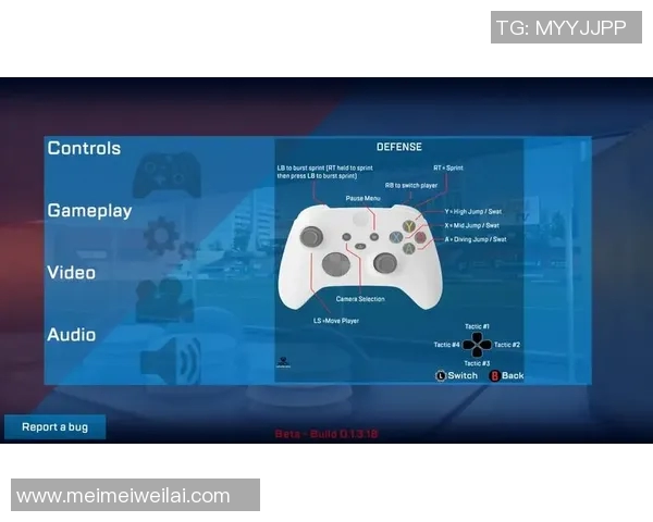 西安飞盘队意识表现的数据分析与战术提升研究