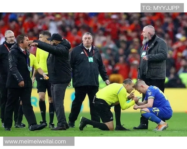 西甲联赛有底线裁判：西甲联赛裁判的底线标准与执法原则